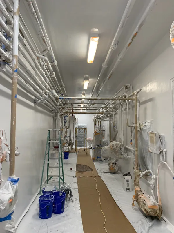 Fiber-Reinforced Wall & Ceiling — photo 2