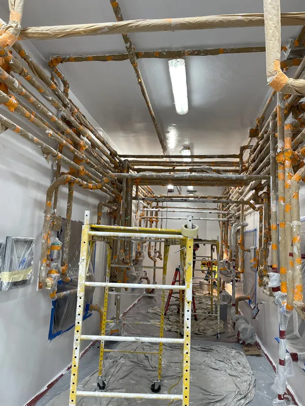 Fiber-Reinforced Wall & Ceiling — photo 6