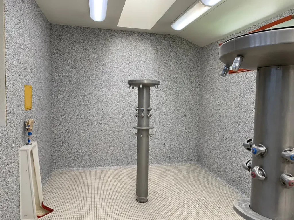 Quartz & Flake Epoxy Flooring — photo 4