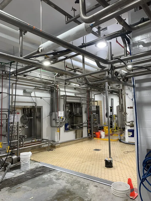 Hygienic Wall & Ceiling — Cheese Processing Plant — Peckham Coatings