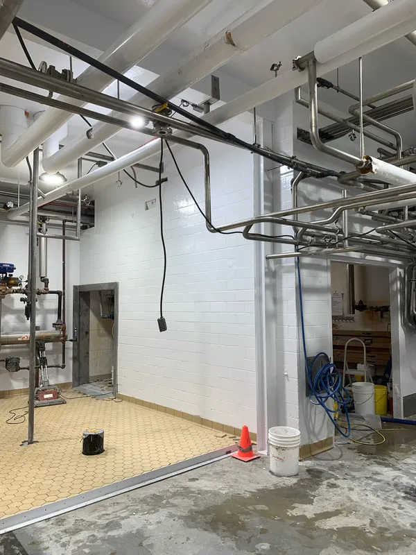 Hygienic Wall & Ceiling — Cheese Processing Plant — photo 6