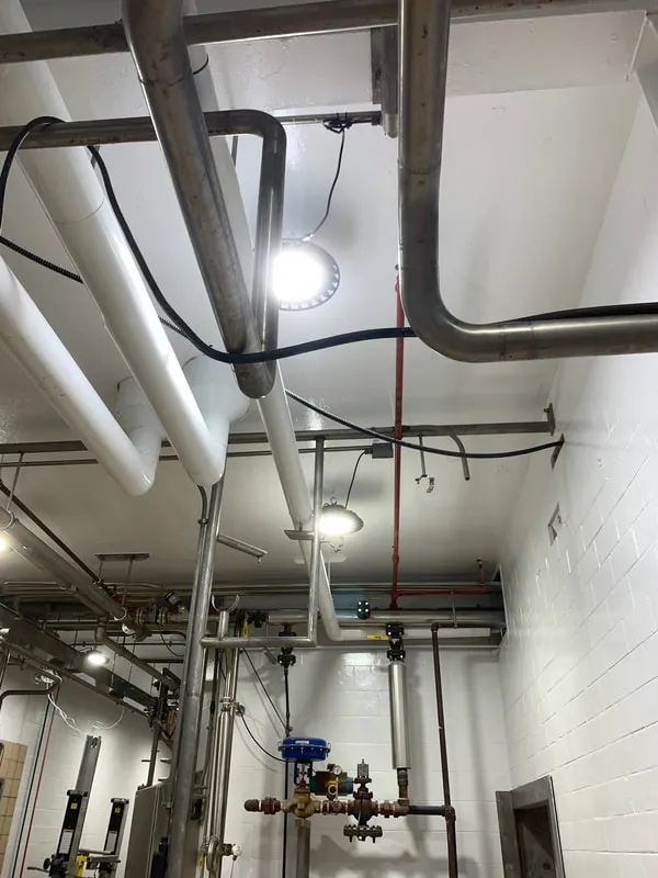 Hygienic Wall & Ceiling — Cheese Processing Plant — photo 8