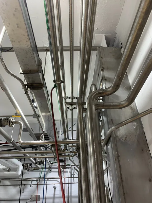 Hygienic Wall & Ceiling — Cheese Processing Plant — photo 11