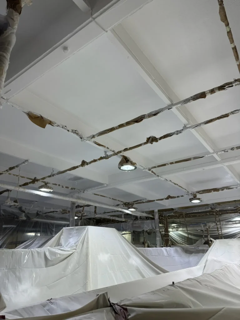 Industrial Wall & Ceiling Coating Project — photo 10